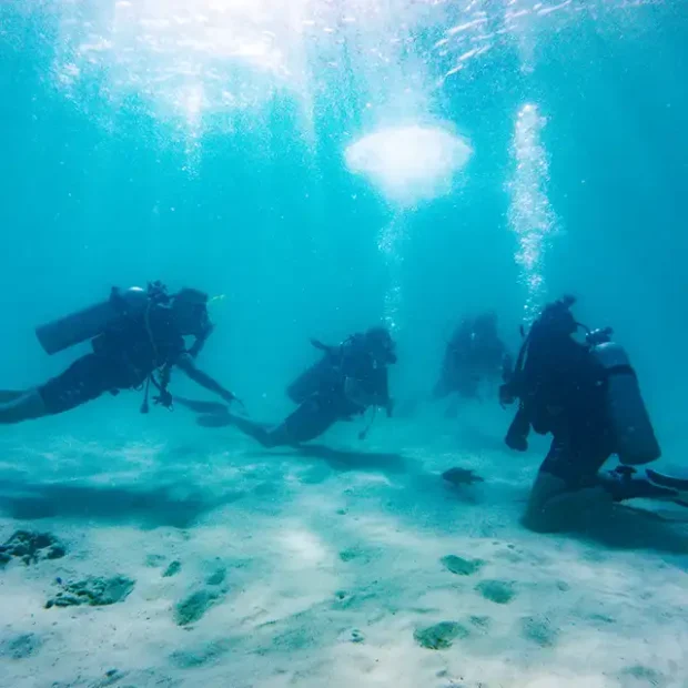 Underwater fin pivot session for padi open water course