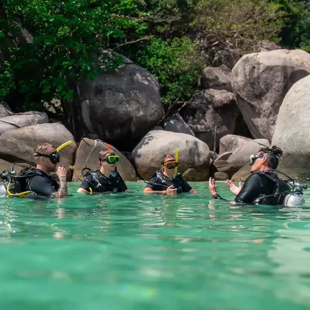 PADI Open Water Course - best for all beginners - Image 3