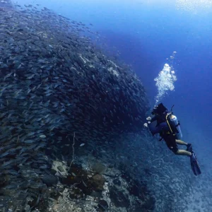 Diver during the deep adventure dive in Koh Tao for the padi advanced course with Nava Scuba Diving