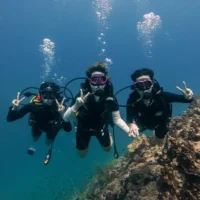 Our Diving Package and Promotion