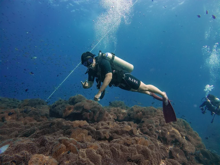 How To Get Scuba Diving Certification - Crystal River Watersports