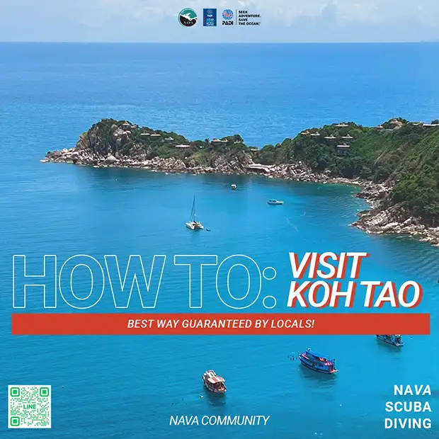 How to Get to Koh Tao