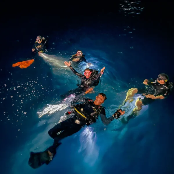 a group of people in scuba gear in the water during a night dive