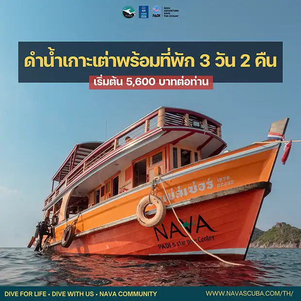 เรียนดำน้ำเกาะเต่าพร้อมที่พัก 3 วัน 2 คืน