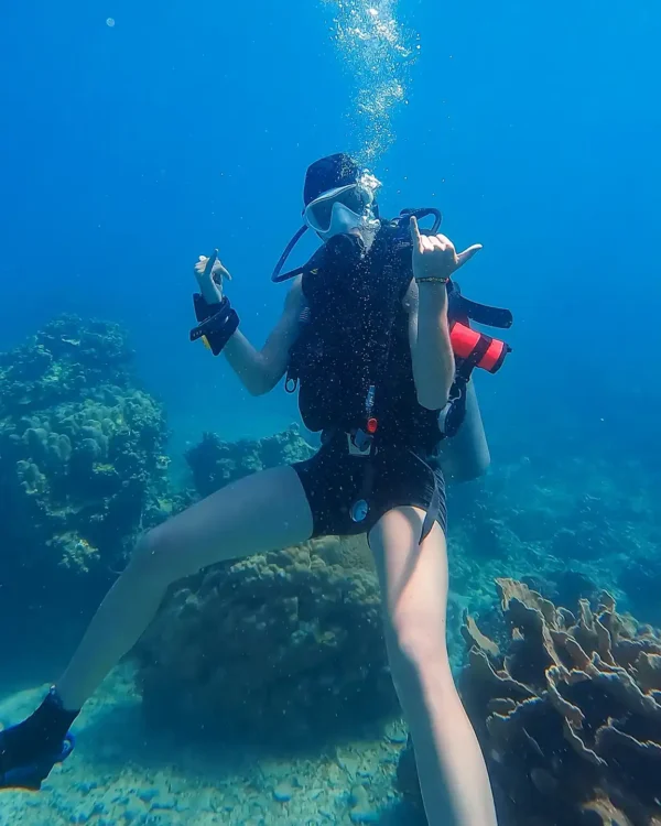 a person in scuba gear underwater