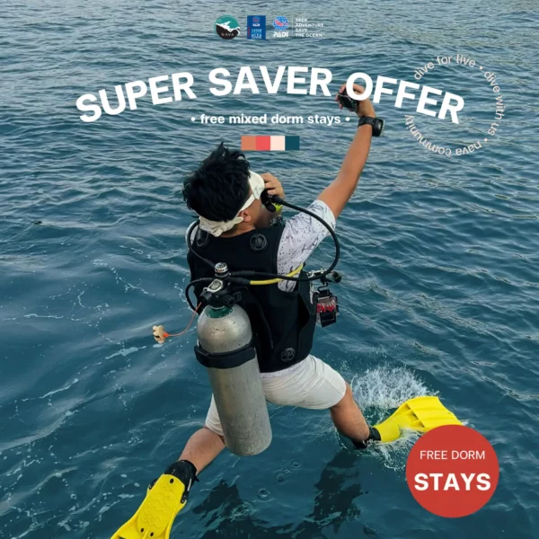 Super Saver Diving Offers - 2 Nights in Hostel Koh Tao